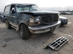 FORD - BRONCO