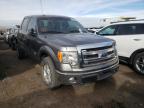 FORD - F-150
