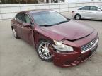 NISSAN - MAXIMA