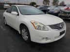 NISSAN - ALTIMA