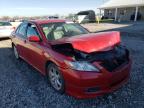 TOYOTA - CAMRY