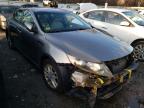 KIA - OPTIMA