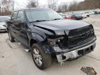 FORD - F-150