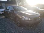 NISSAN - MAXIMA