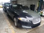 JAGUAR - XF