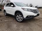 HONDA - CRV