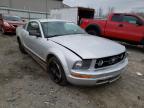 FORD - MUSTANG