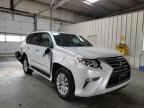 LEXUS - GX