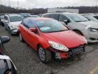 FORD - FOCUS