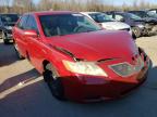 TOYOTA - CAMRY