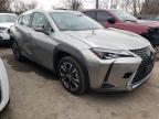 LEXUS - UX 250H