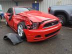 FORD - MUSTANG