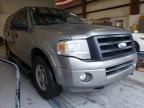 FORD - EXPEDITION