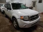 FORD - ESCAPE