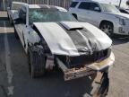 FORD - MUSTANG