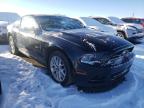 FORD - MUSTANG