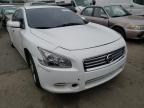 NISSAN - MAXIMA