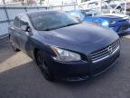 NISSAN - MAXIMA