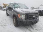 FORD - F-150