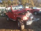 JEEP - WRANGLER