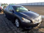 NISSAN - MAXIMA