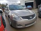 NISSAN - ALTIMA
