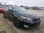 KIA - OPTIMA