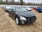 NISSAN - MAXIMA