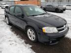 DODGE - AVENGER