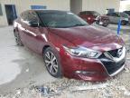 NISSAN - MAXIMA
