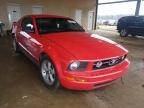 FORD - MUSTANG