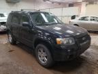 FORD - ESCAPE