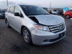 HONDA - ODYSSEY