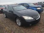 LEXUS - ES350