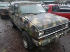 FORD - BRONCO
