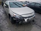 CHEVROLET - MALIBU