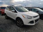 FORD - ESCAPE