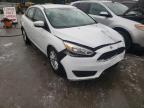 FORD - FOCUS