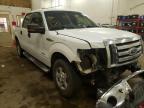 FORD - F-150