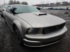 FORD - MUSTANG