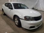 DODGE - AVENGER