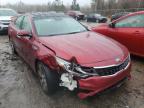 KIA - OPTIMA