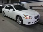 NISSAN - MAXIMA