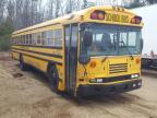 usados BLUEBIRD SCHOOL BUS