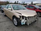 TOYOTA - CAMRY