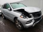 MERCEDES-BENZ - M-CLASS