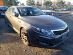 KIA - OPTIMA