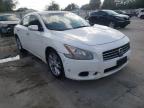 NISSAN - MAXIMA