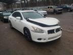 NISSAN - MAXIMA
