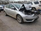 FORD - FOCUS